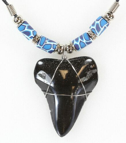 Polished Megalodon Tooth Necklace #43172